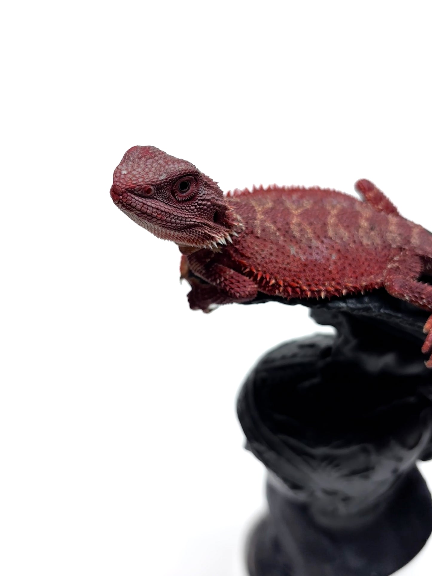 ๐ฅ๐#2 Extreme Dark Hypo RED MONSTER ๐๐ฅ(Holdback Release)