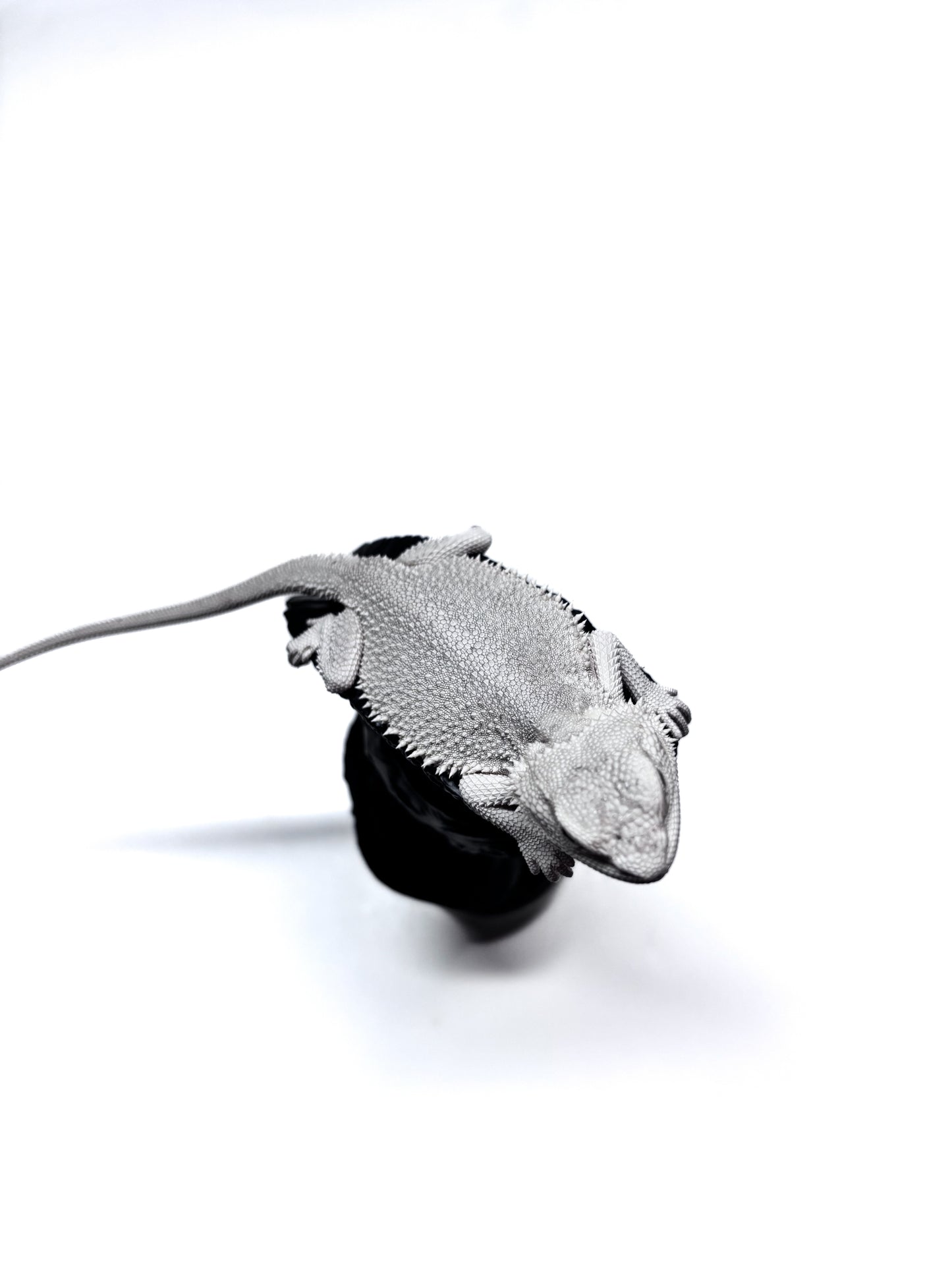 ❄️ #19 Hypo Zero❄️