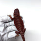 🔥🛑#2 Extreme Dark RED MONSTER 🛑🔥(Holdback Release)