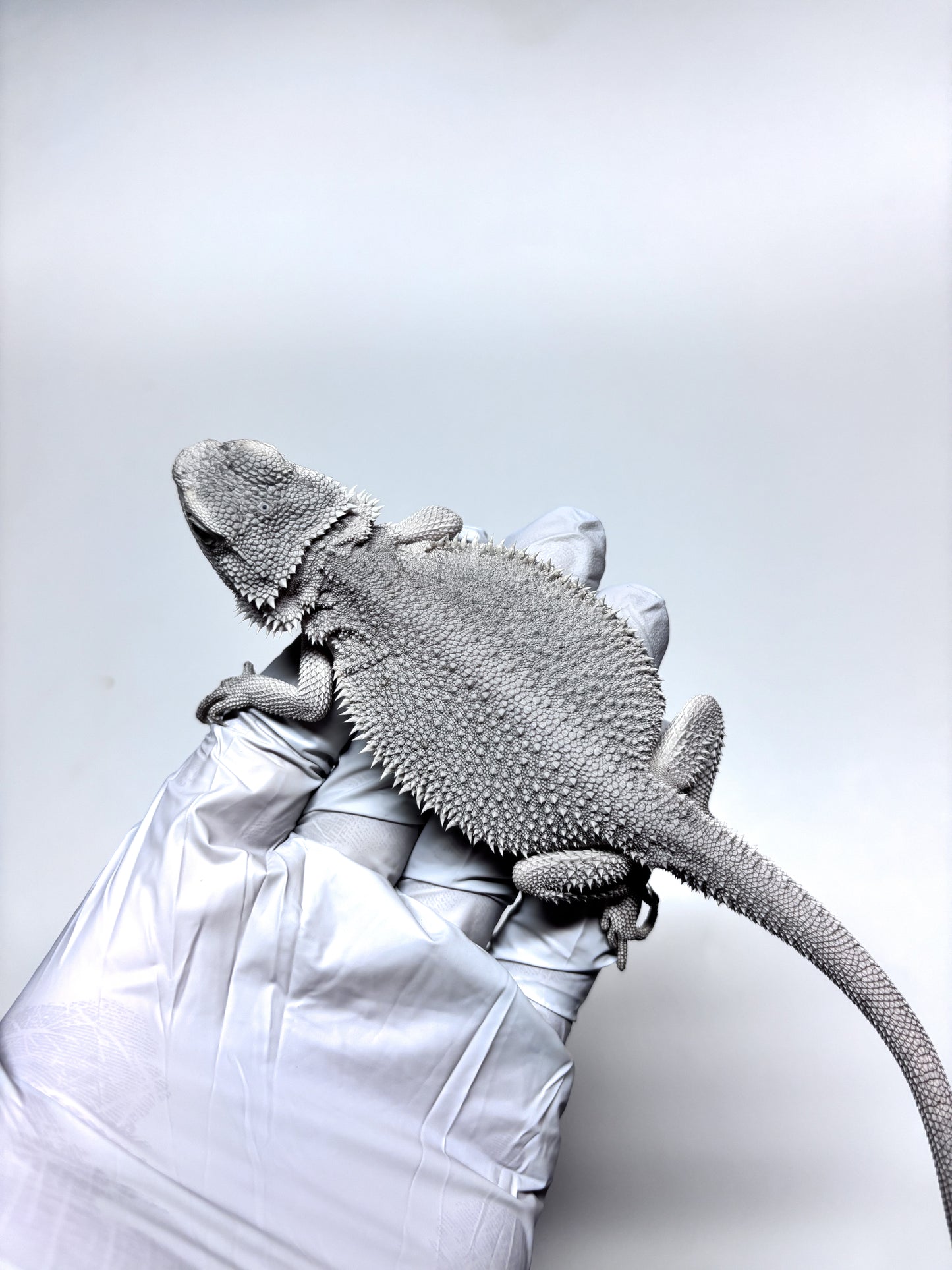 ❄️ #19 Hypo Zero❄️