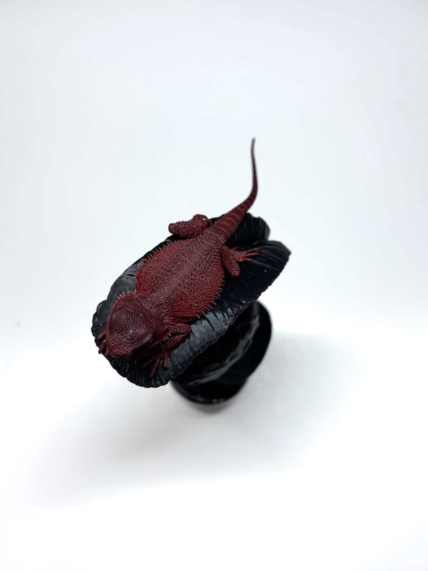 🩸#16 Extreme Dark Red Monster Trans🩸