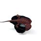 🔥🛑#2 Extreme Dark RED MONSTER 🛑🔥(Holdback Release)